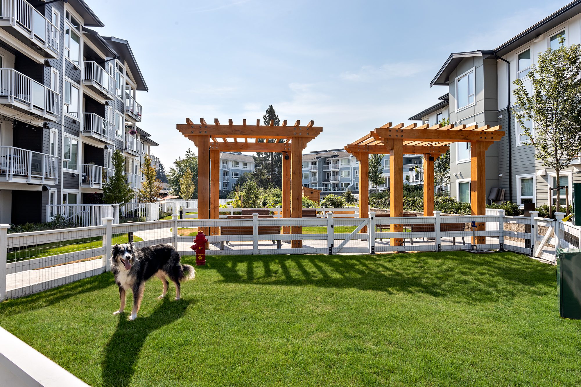 Solaro Rental Langley Home Apartment Dog Friendly