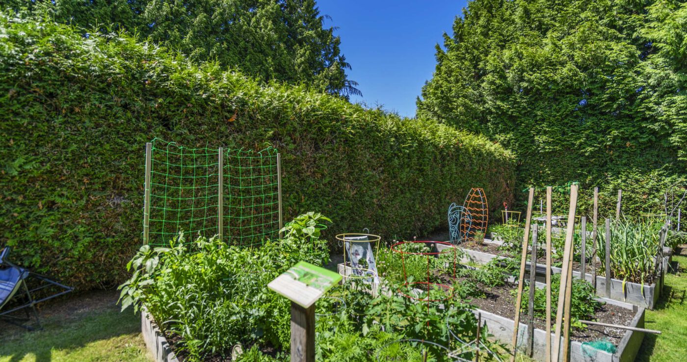 Shawnigan sha fv image full 07770 2020 07