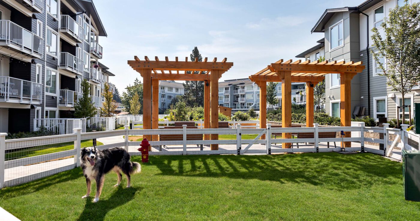 Solaro sola amenitites landscaping si web 34 2021 08