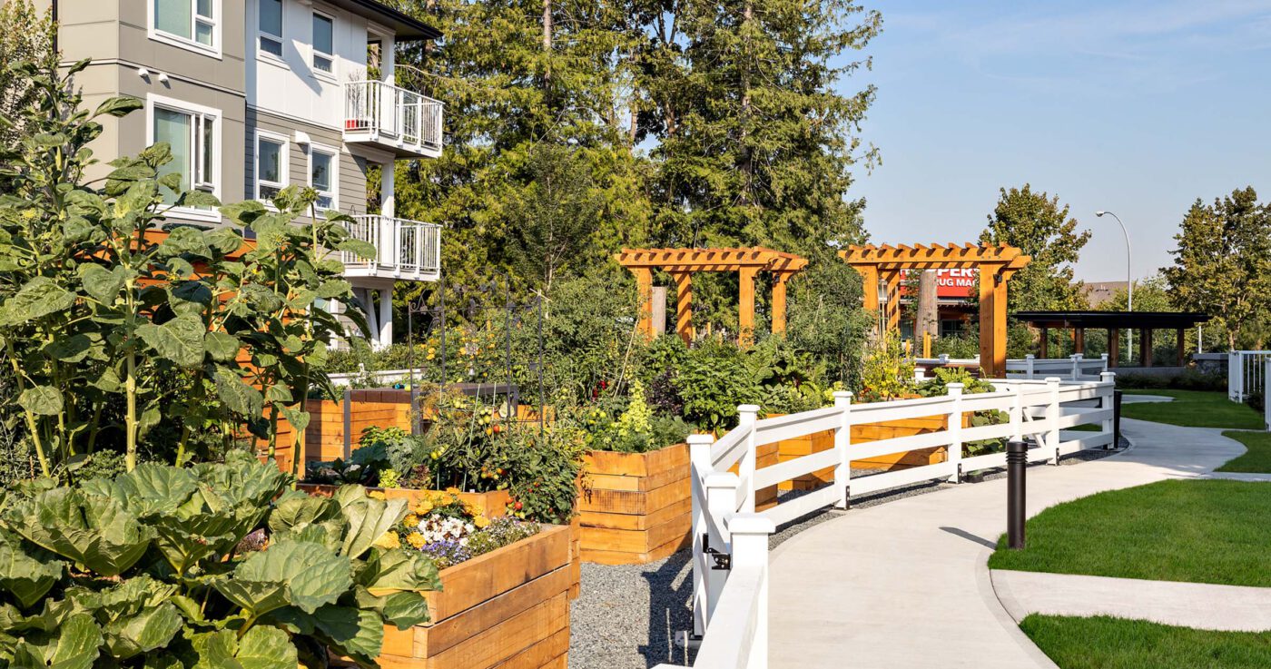 Solaro sola amenitites landscaping si web 6 2021 08